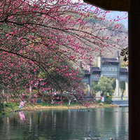 ����÷��