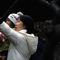 ��������÷