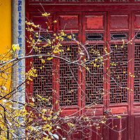 ��������÷ŭ�ţ������˱ǣ�