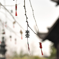 Ǯ����ץ������