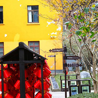 ���߿���