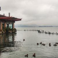 �ټ���2026��һ�¡�