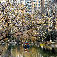 ���Ӷ�����÷����÷�������ţ�