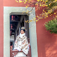 Ǯ������÷��ǰ��ֵʢ���ڣ�������򿨻ƽ��ڡ�