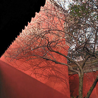 Ǯ������÷����÷�������ӳ���������˴��ڣ�