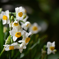 ����Ʈ��ˮ�ɻ������������ֵ�����