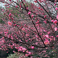 ÷����֮�ຮ��