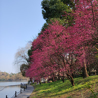 ���ҳ��Ϻ�÷����