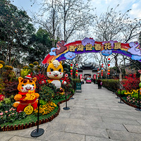 ����������Ǯ�������ڲ�չ������ӭ����չ����ӭ�Ӵ���ĵ�����