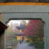 ��̨ɽ��������º�÷ʢ��