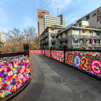 ���ݳ��нֵ�������ʣ�