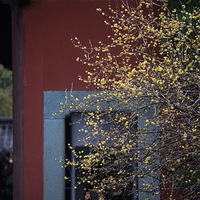 ����̫ƽ��