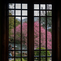 ˫���Ҷ������μ�