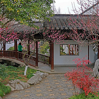 �����ι�ׯ��÷��԰��