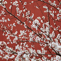 ���궼��Ȧ��������ǻ��û��