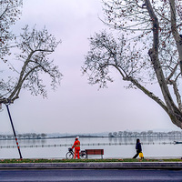 �����չ��������������֣�����������ϸ�����Եø��⾲�ף�