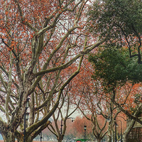 ���걱ɽ��