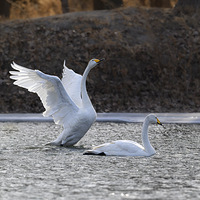 ����������ʡ�����к�塰�й����֮�硱�����Ⱥ��׳�۳��档