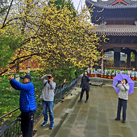 Ǯ������������÷