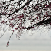 ÷���ʹ��顣