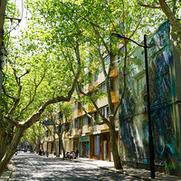 ��Ӱ����2504 ��ͩ�г��ϲ���¥