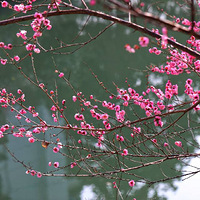 ���߿���