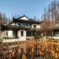 ��Ժ����