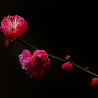 ��������÷��Ϊ����Ӱ��б���㸡��?