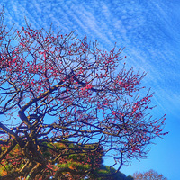 ů��֮�����յ�