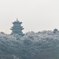 ��ѩӳ��÷��ɽ��԰��巸�������