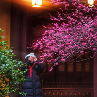 ����С��ӭ����