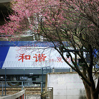 �ں����ĵ��˿���������г�