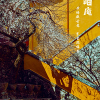 �㽭�������ϱ���ǧ����֣�����֣�һ��