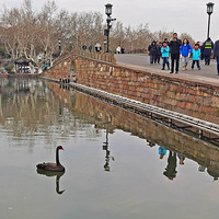 �������ű�ӭ���\���