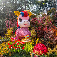 ����ʮ�������ӭ����չ��������Ǯ������Ļ��