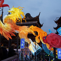 ��Ӱ����2602 2026��������2