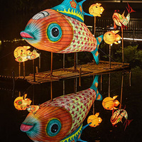 ����÷��ҹ�۵ƣ�������Ϫ�ƻ���ʽ��Ļ