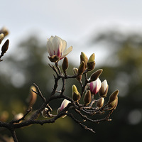 һ��������Ϊ������