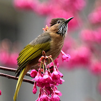 ���ǡ���ȸ��