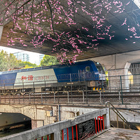 ����г�š�����������г�