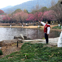 ֻ�Ѵ�����