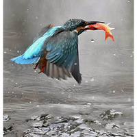 ץ������׮�Ĵ���