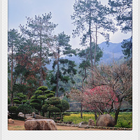 ������������ʱ