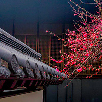 ���ٹ���÷�����죡