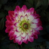 2026Ǯ����ӭ����չ���־�Ʒ����