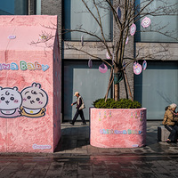 ����һ��