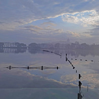 �����е��������۹�԰