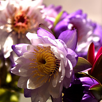 Ѥ�����˵İ���˯��ӭ���ڡ�