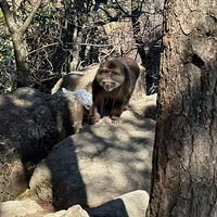 ��ɽ�羰���ֺ�ף��