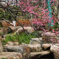 ף������꼪�����⣡